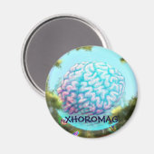 Xhoromag 12 magneet (Voorkant / Achterkant)