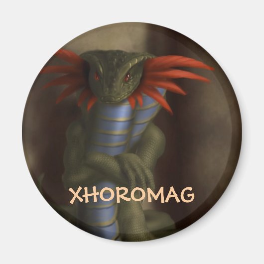 Xhoromag 17 magneet (Voorkant)
