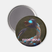 Xhoromag 19 magneet (Voorkant / Achterkant)