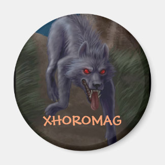 Xhoromag 4 magneet