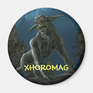 Xhoromag 6 magneet