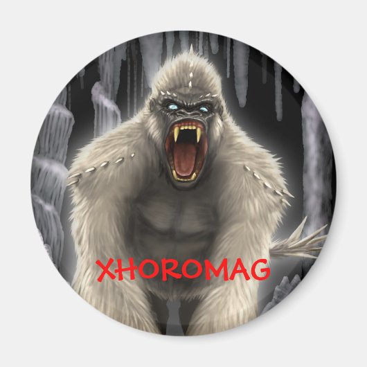 Xhoromag 7 magneet (Voorkant)