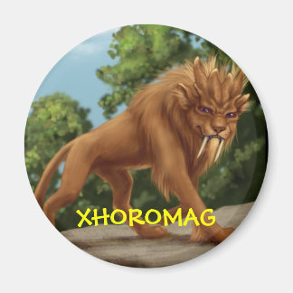 Xhoromag 9 magneet