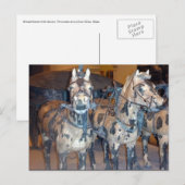 Xi'an-paard Briefkaart (Voorkant / Achterkant)