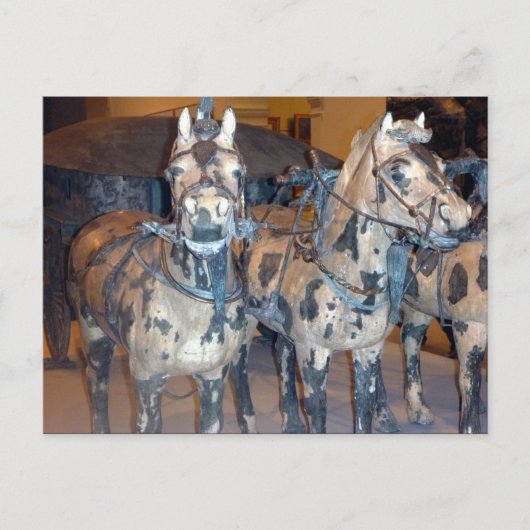 Xi'an-paard Briefkaart (Voorkant)