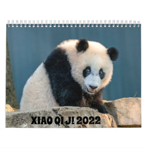 Xiao Qi Ji 2022 Agenda Kalender