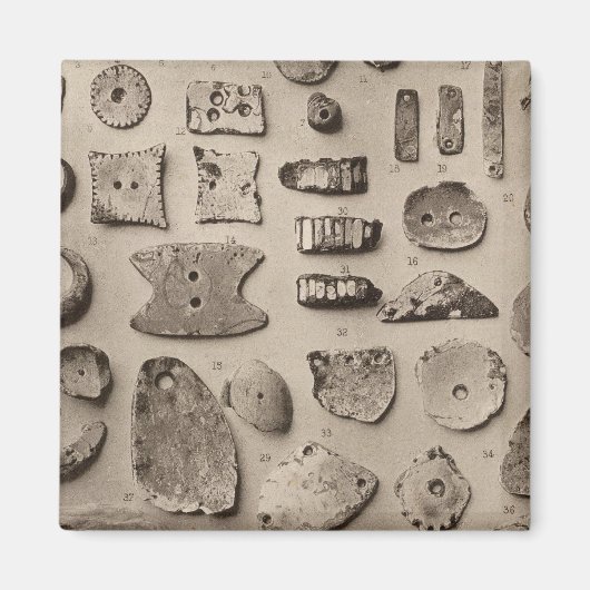 XII de ornamenten van Shell, zo Californië Magneet (Voorkant)