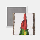XII Het Handige Man, tarotkaart Magneet (Voorkant / Achterkant)
