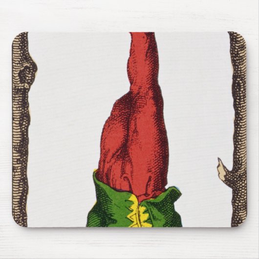 XII Het Handige Man, tarotkaart Muismat (Voorkant)