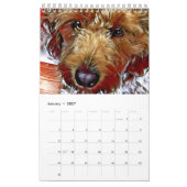 Xine's Pack of Strays & Others Calendar Kalender (Jan 2027)