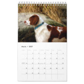 Xine's Pack of Strays & Others Calendar Kalender (Mar 2027)
