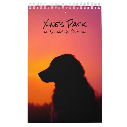 Xine's Pack of Strays & Others Calendar Kalender (Hoes)