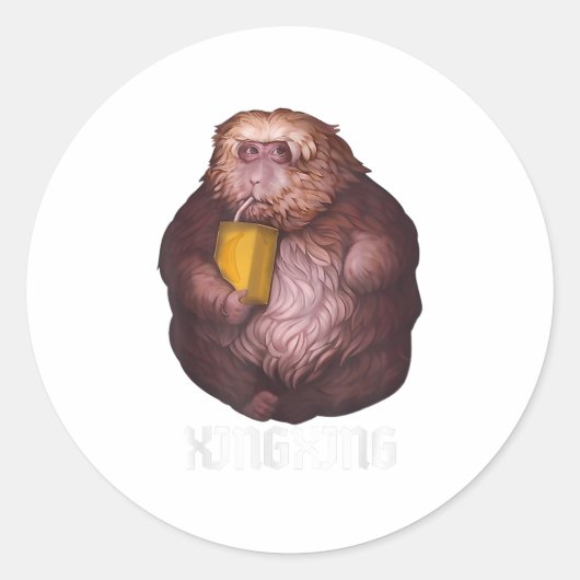 Xing Xing Funny Meme – Virale Trend Funny _1 Ronde Sticker (Voorkant)