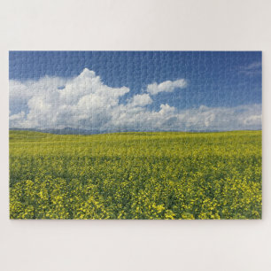 Xinjiang Field Legpuzzel