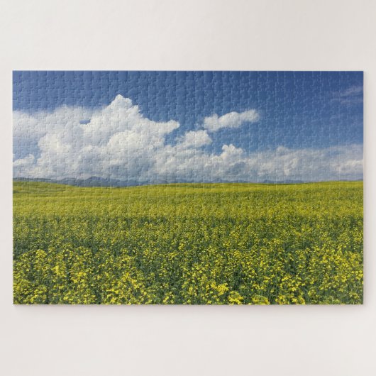 Xinjiang Field Legpuzzel (Horizontaal)