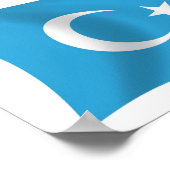 Xinjiang Oeigoerse vlag Poster Print (Hoek)