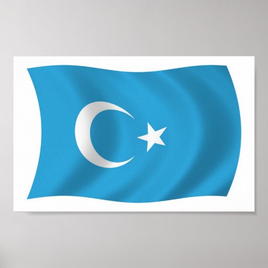 Xinjiang Oeigoerse vlag Poster Print (Voorkant)