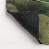 Xiphophorus montezumae - Montezumae Zwaardstaart Muismat (Hoek)