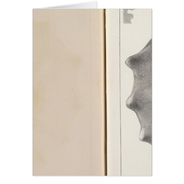 XIX Cretacous (Voorkant)