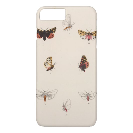 XL Arctia, Leucarctia, Euchaetes Case-Mate iPhone Case (Achterkant)