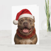 XL Bully in a Santa hat Christmas card Kaart (Voorkant)