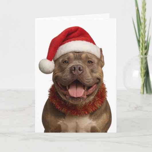 XL Bully in a Santa hat Christmas card Kaart (Voorkant)