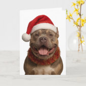XL Bully in a Santa hat Christmas card Kaart (Gele Bloem)