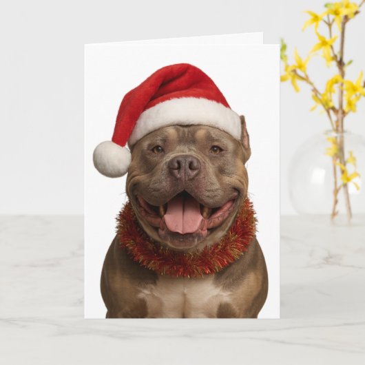 XL Bully in a Santa hat Christmas card Kaart (Gele Bloem)