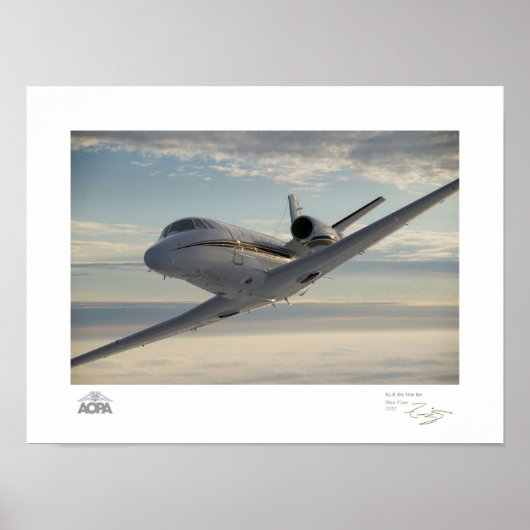XLS op de Go Galerij Poster (Voorkant)