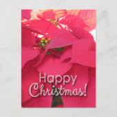 Xmas 001 - Postcard Briefkaart (Voorkant)