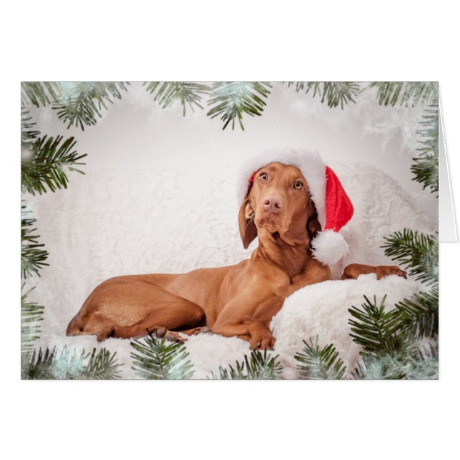 Xmas Card / Christmas Card "Magyar Vizsla" (Voorkant Horizontaal)