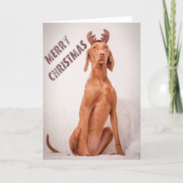 Xmas Card / Christmas Card "Magyar Vizsla" Feestdagen Kaart