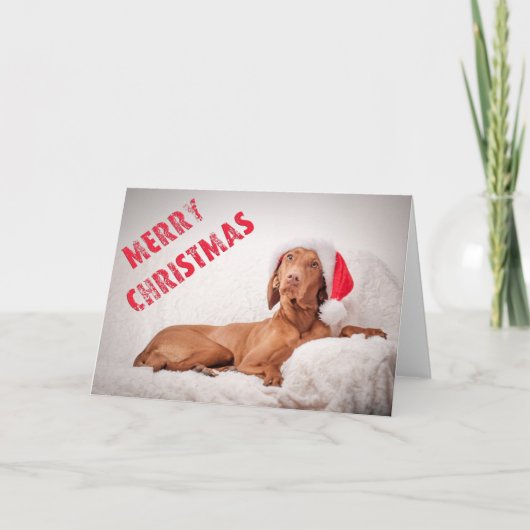 Xmas Card / Christmas Card "Magyar Vizsla" Feestdagen Kaart (Voorkant)