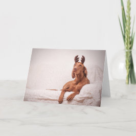 Xmas Card / Christmas Card "Magyar Vizsla" Feestdagen Kaart