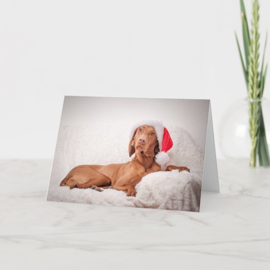 Xmas Card / Christmas Card "Magyar Vizsla" Feestdagen Kaart (Voorkant)