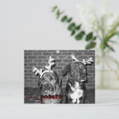 Xmas Card Recrop recontrast, . . Posters, . . ... Feestdagenkaart (Staand voorkant)