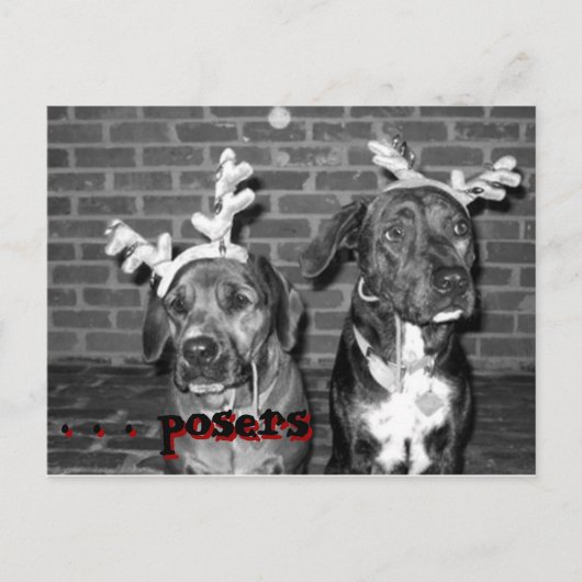 Xmas Card Recrop recontrast, . . Posters, . . ... Feestdagenkaart (Voorkant)