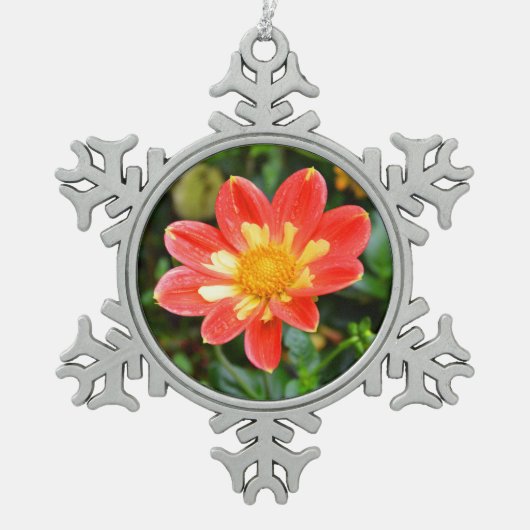 Xmas Dahlia flower Tin Sneeuwvlok Ornament (Voorkant)