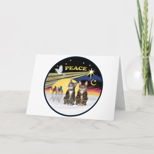 Xmas Dove - Twee Tabby Katten Feestdagen Kaart (Voorkant)