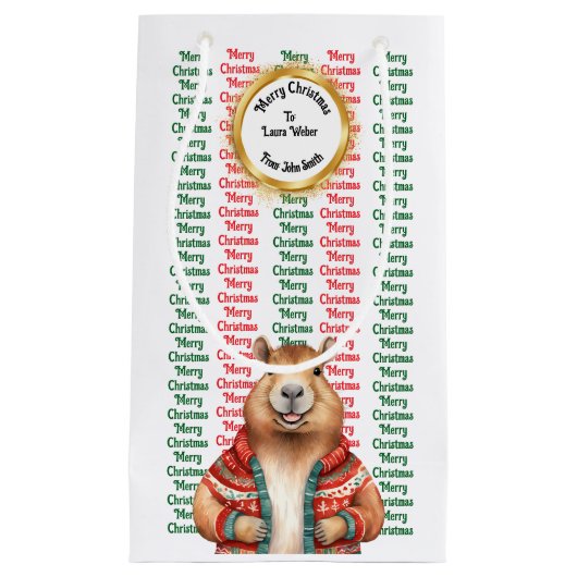 XMAS GIFT BAG KLEIN CADEAUZAKJE (Voorkant)