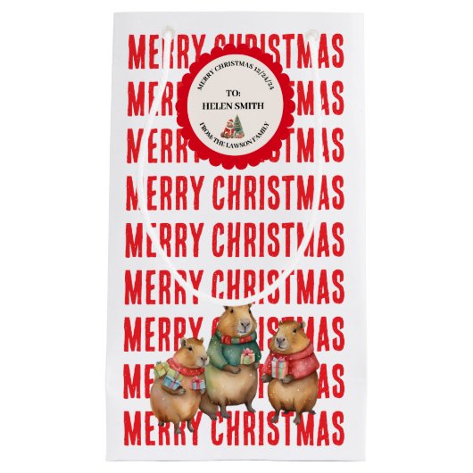 XMAS GIFT BAG KLEIN CADEAUZAKJE (Voorkant)