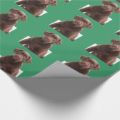 Xmas Green Background Chocolate Lab Dog Puppy Pet Cadeaupapier (Hoek)