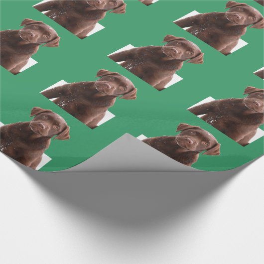 Xmas Green Background Chocolate Lab Dog Puppy Pet Cadeaupapier (Hoek)