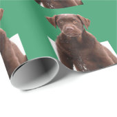 Xmas Green Background Chocolate Lab Dog Puppy Pet Cadeaupapier (Rol Hoek)
