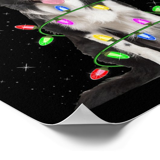 Xmas Holiday Lighting Santa Border Collie Dog Chri Poster (Hoek)