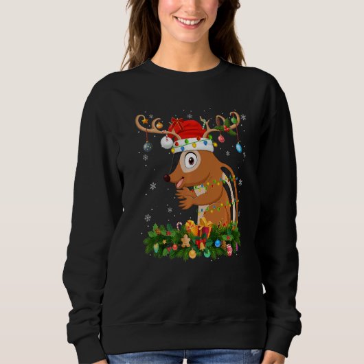 Xmas Holiday Reindeer Hat Santa Chipmunk Christmas Trui (Voorkant)