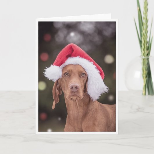 Xmas Kaart / Kerst Kaart "Magyar Vizsla" (Voorkant)
