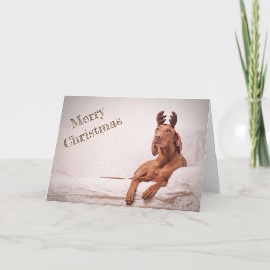 Xmas Kaart / Kerst Kaart "Magyar Vizsla" (Voorkant)