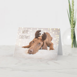 Xmas Kaart / Kerst Kaart "Magyar Vizsla"
