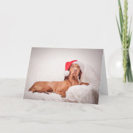 Xmas Kaart / Kerst Kaart "Magyar Vizsla"